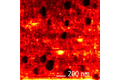 TERS mapa s vysokým rozlišením. Rozlišení ~20 nm. Vzorek: Tenká BCB molekulární vrstva na Au substrátu.