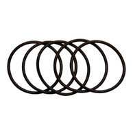 Sampler Cone O-ring (pack of 5) (PE5011)