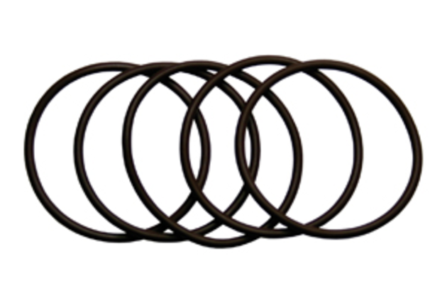 Sampler Cone O-ring (pack of 5) (PE5011)