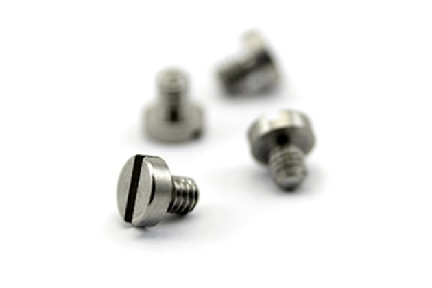 Screws for Skimmer Interface TG1023-Ni or TG1023-Cu (PKT 4) (TG5002)